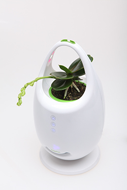 Decorate with mini ion air purifier & LED ...